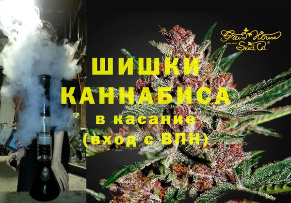 тгк Болотное