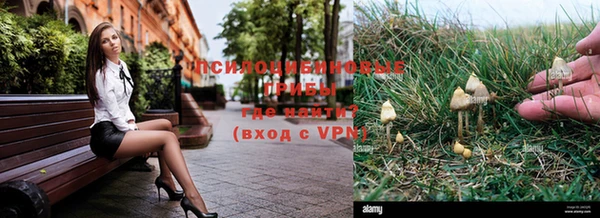мяу мяу кристалл Нефтекумск