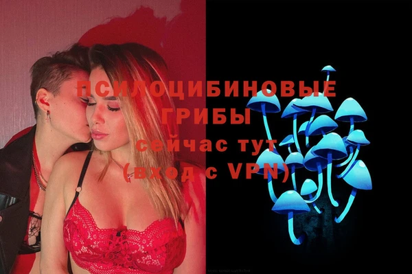 mdpv Нея