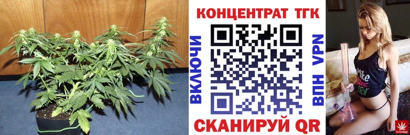 дарнет шоп  Рославль  ТГК вейп 