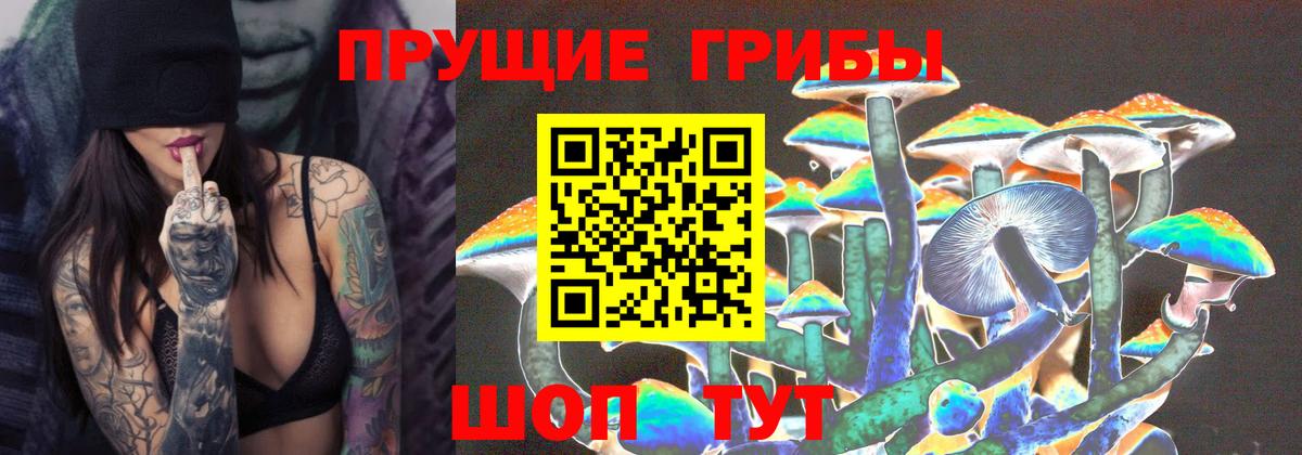 Рославль  Псилоцибиновые грибы мицелий  Вход с VPN 