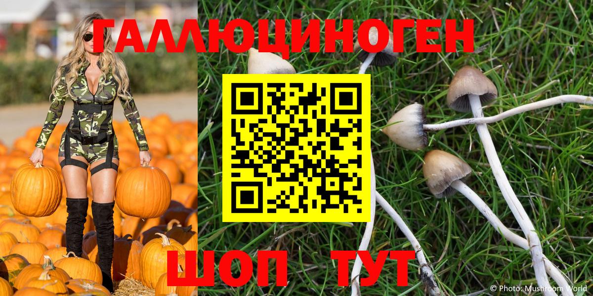 Псилоцибиновые грибы мицелий  Псилоцибиновые грибы GOLDEN TEACHER  Рославль 